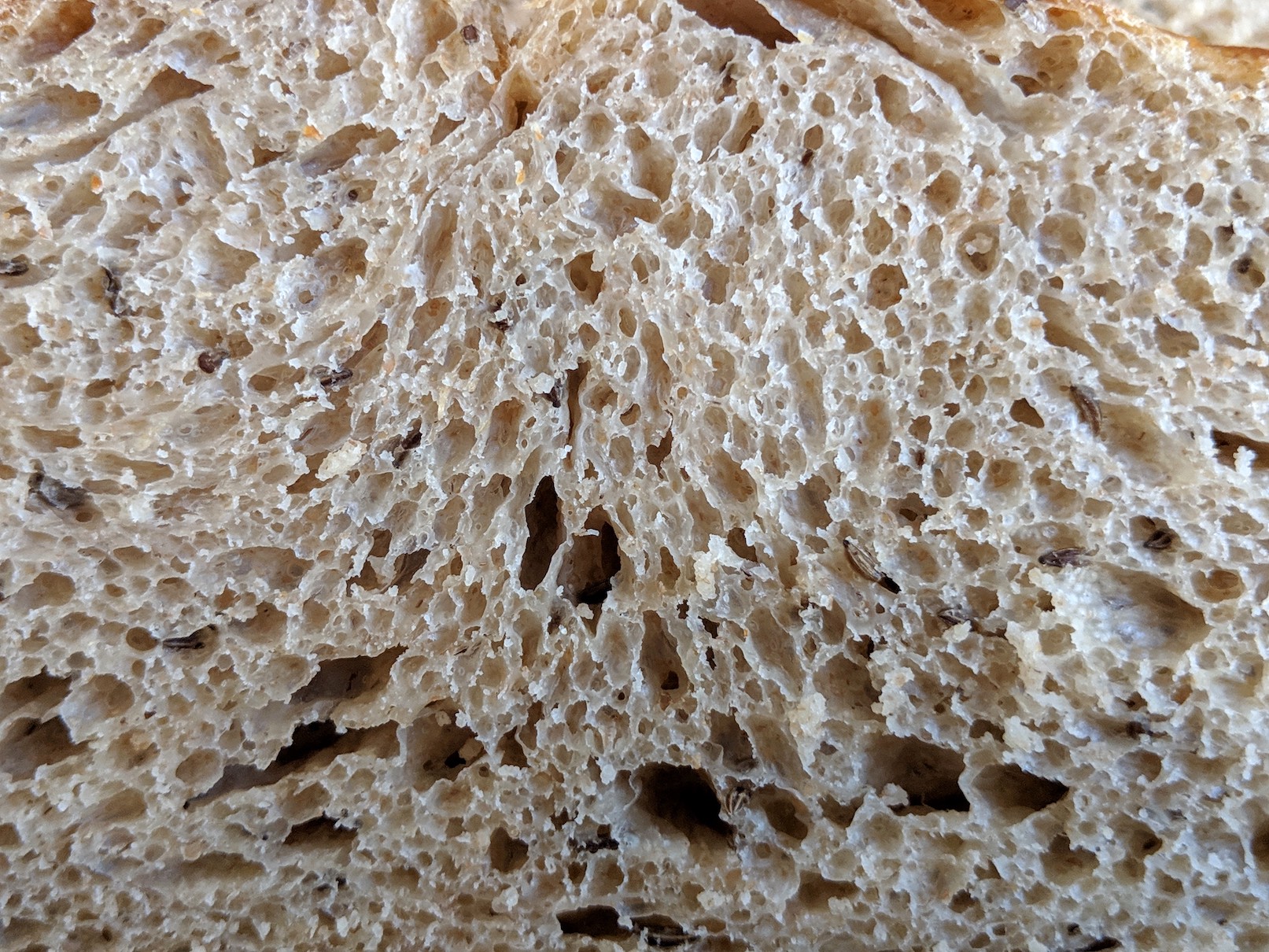 Caraway seed sourdough crumb closeup
