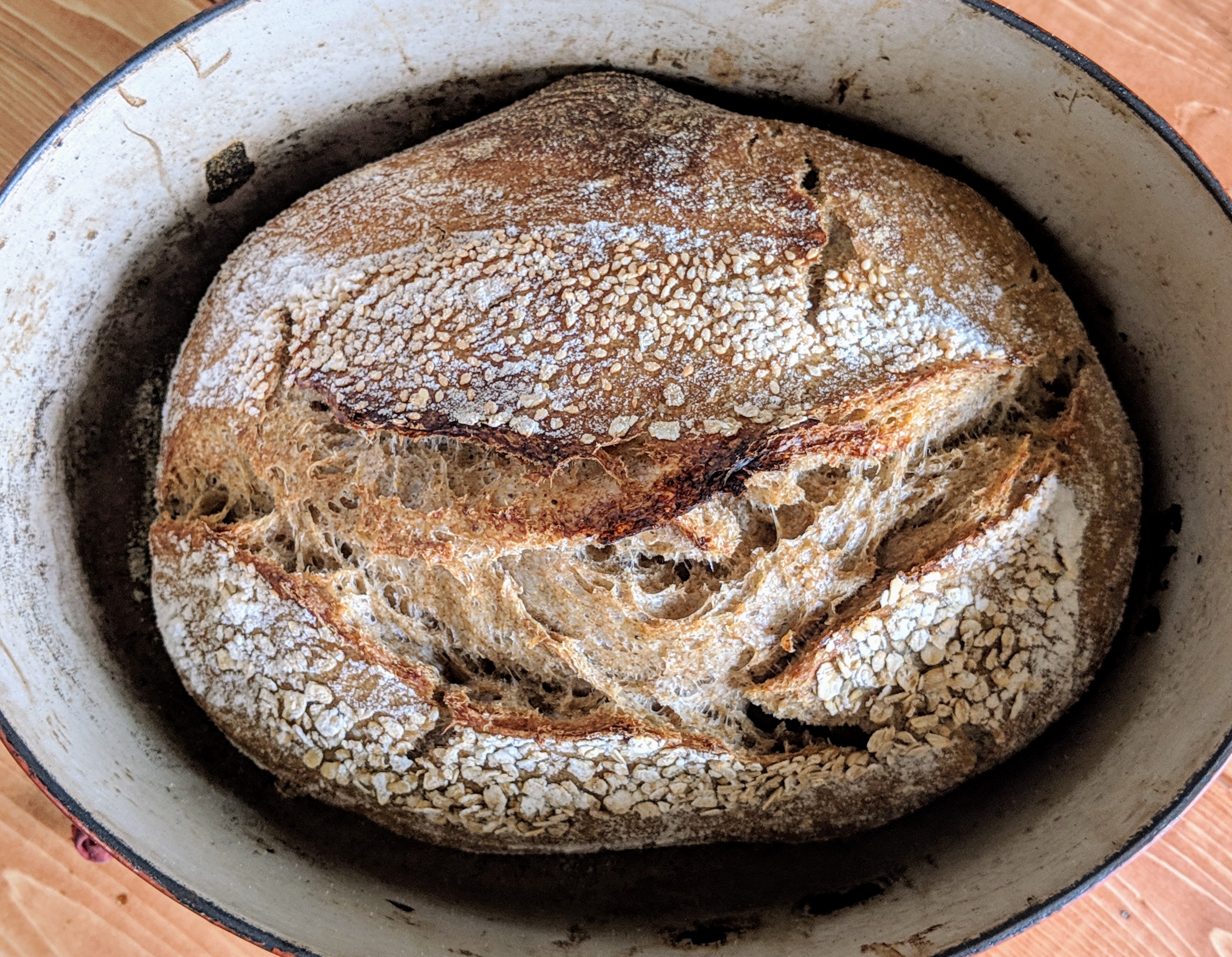 spent grain sourdough in dutch oven