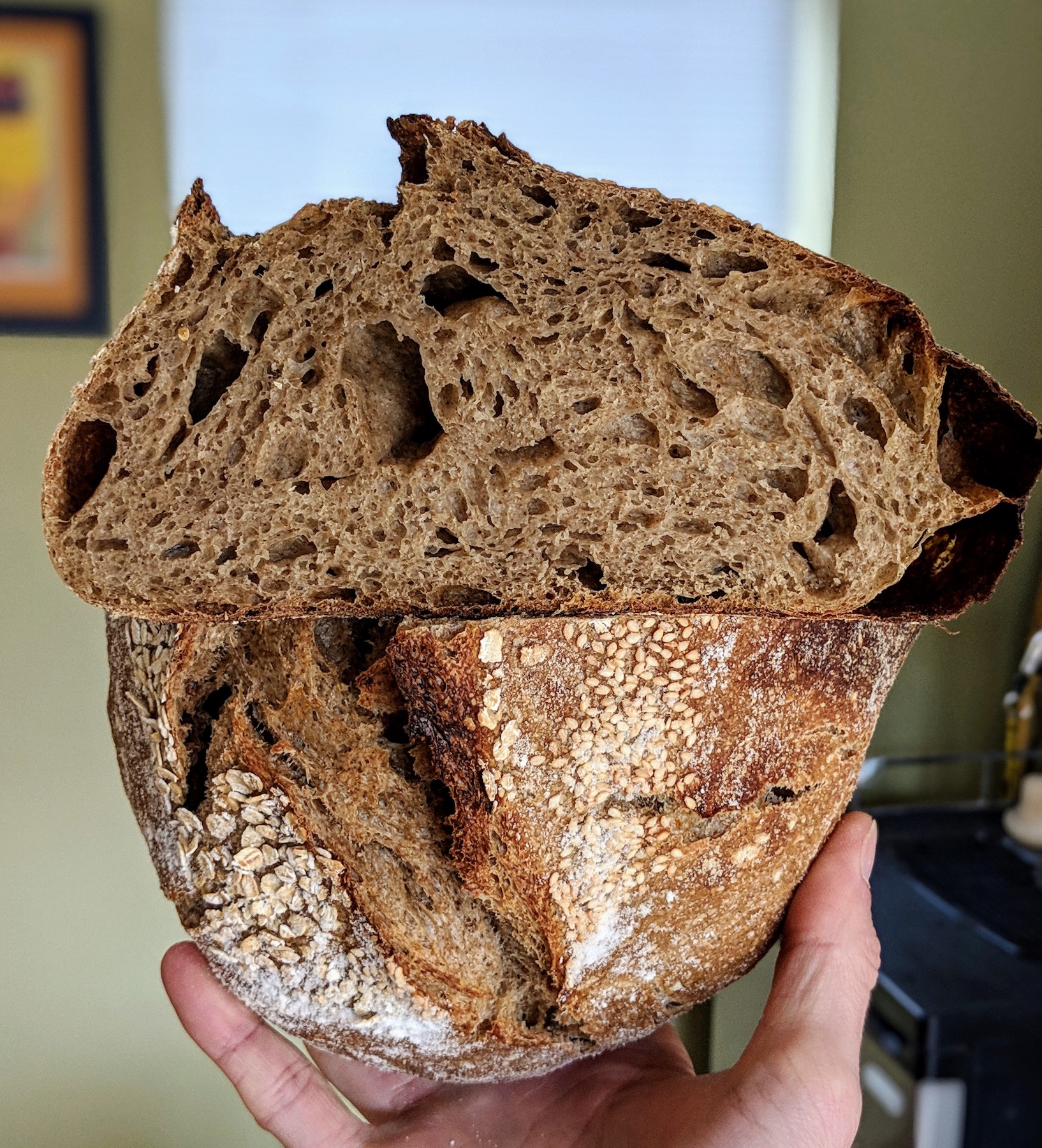 Spent grain sourdough crumb shot