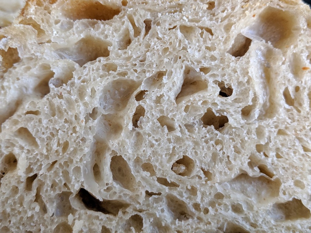 Standard sourdough crumb shot close up