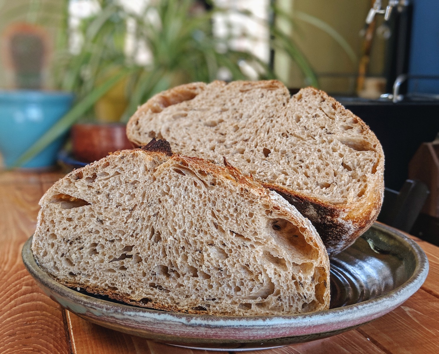 Caraway seed sourdough crumb