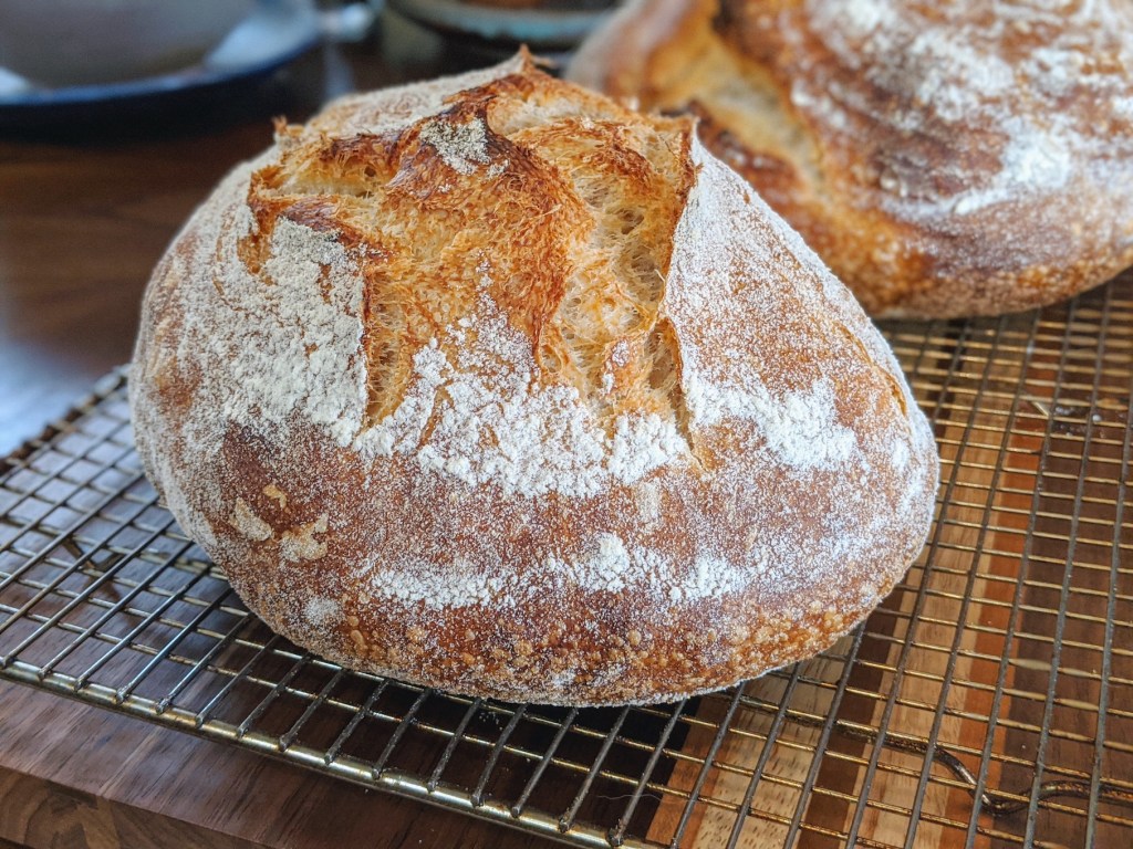 Rye sourdough loaves