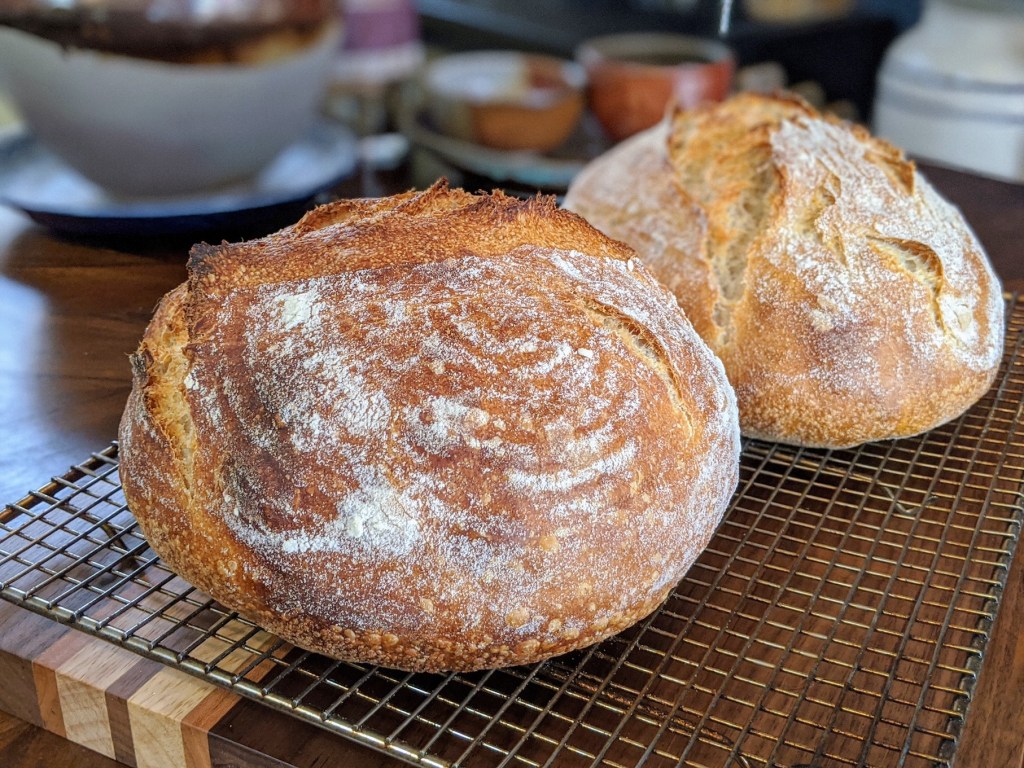 Rye sourdough loaves