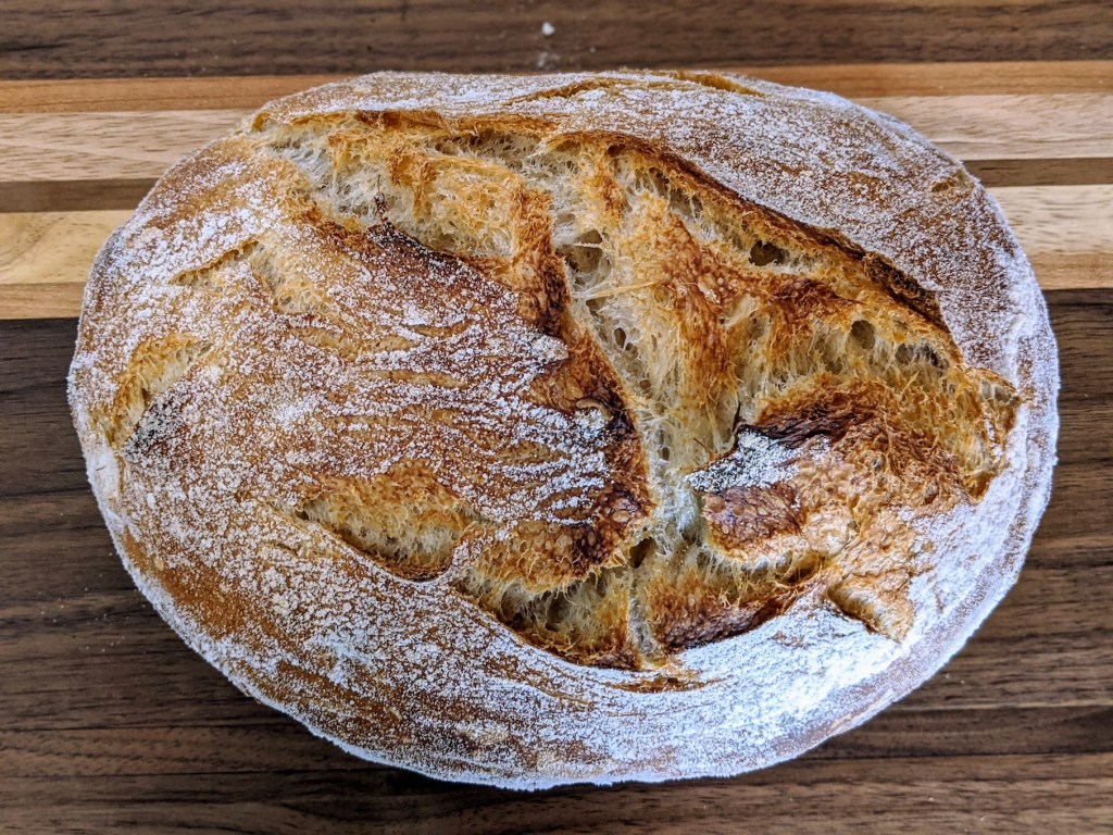 Rye sourdough top view